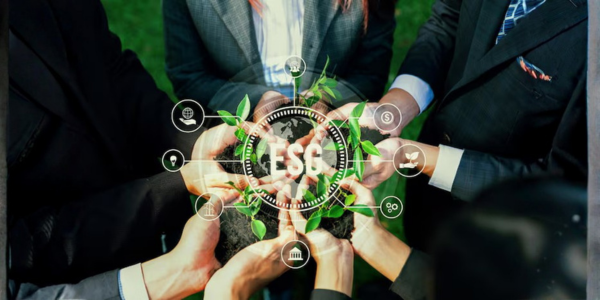 Invena Consulting